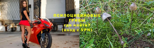 прущая мука Белоозёрский