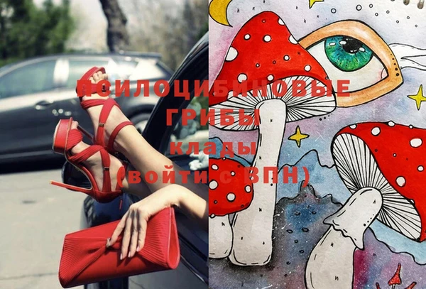 a pvp Богородицк