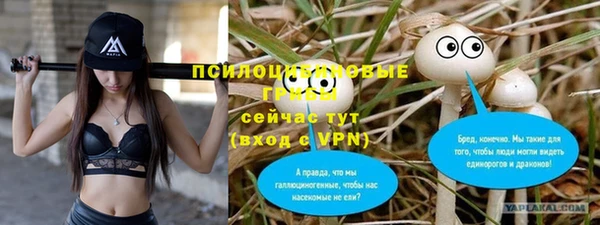 a pvp Богородицк